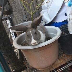 Meet your Posher, Victor